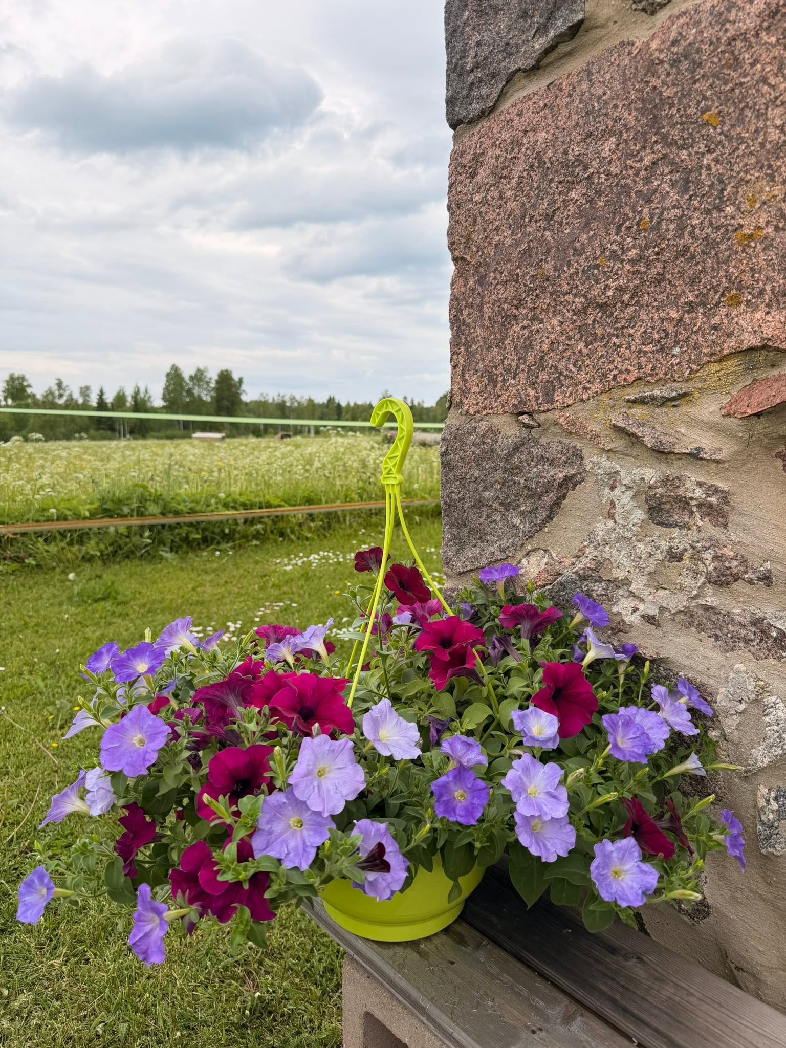 Lilleampel &mdash; V&otilde;idu Talu