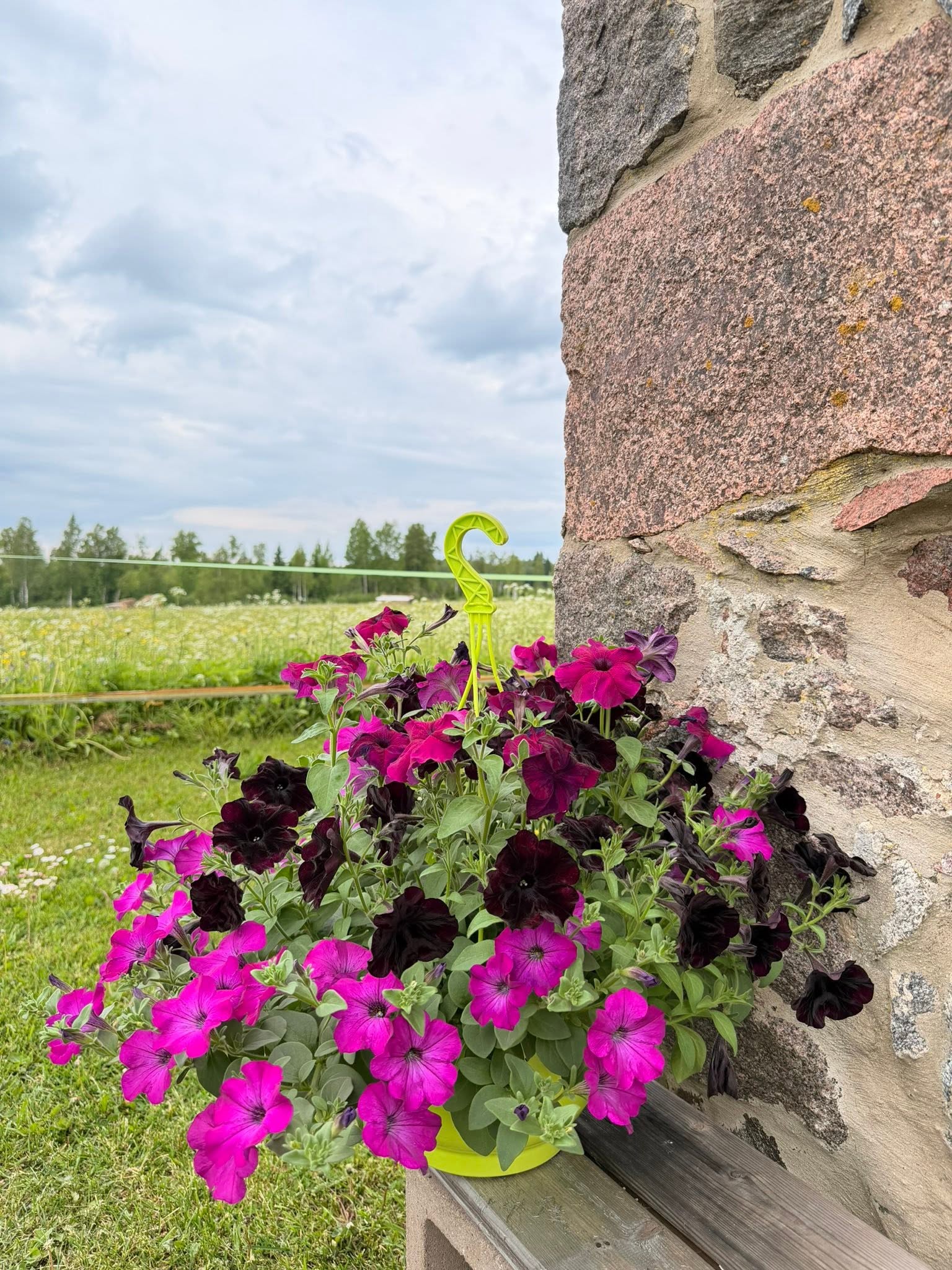 Lilleampel &mdash; V&otilde;idu Talu